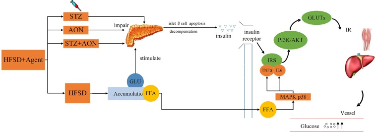 Figure 9.