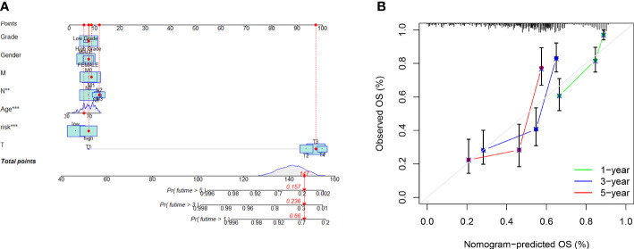 Figure 5