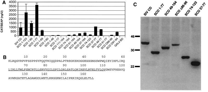 FIG. 5.