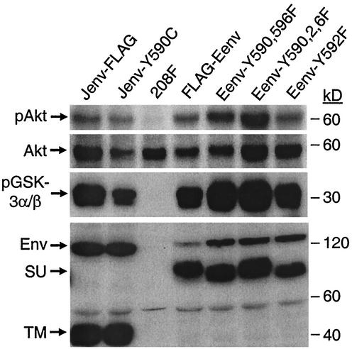 FIG. 7.