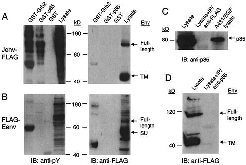 FIG. 6.