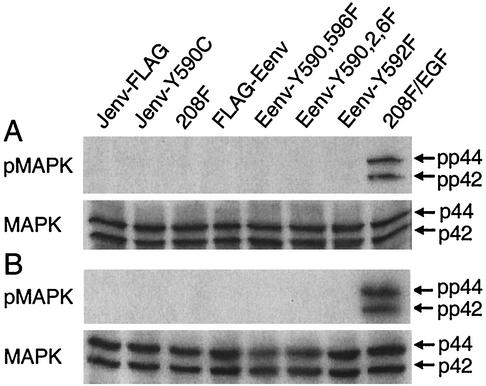 FIG. 8.