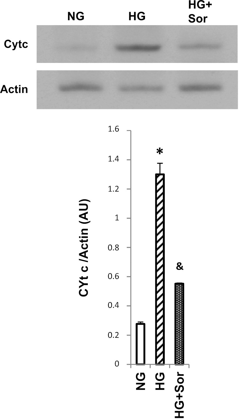 Fig. 6.