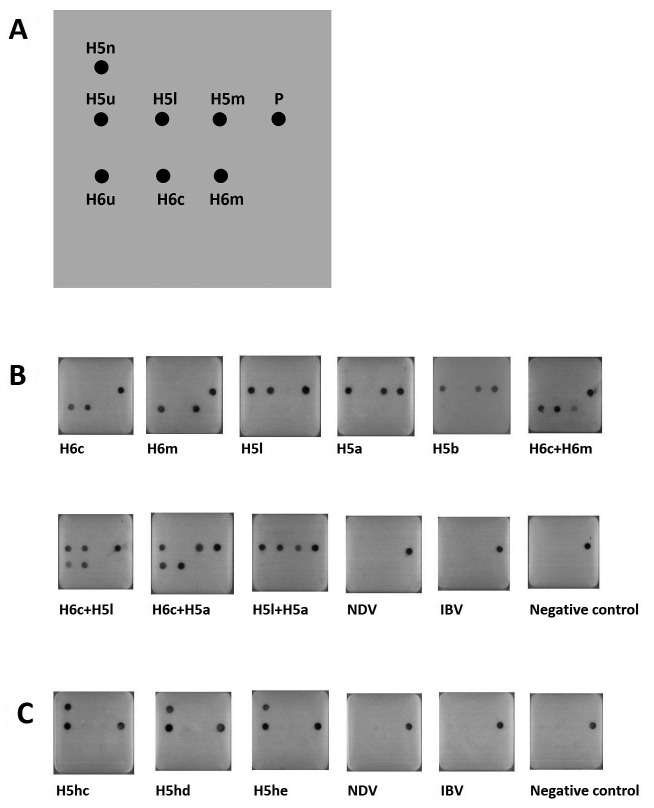 Fig. 1.