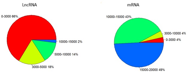 Fig 12