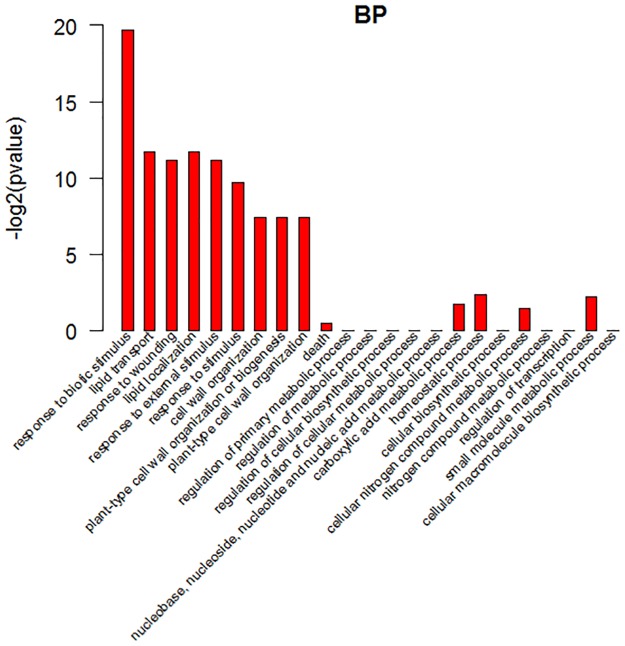 Fig 6