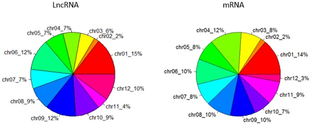 Fig 11