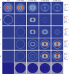 Fig. 22