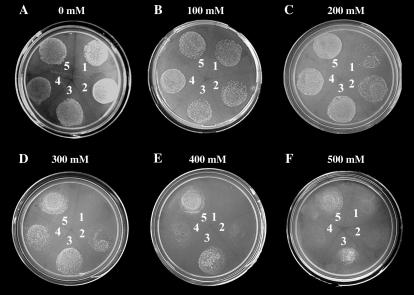 Figure 3.