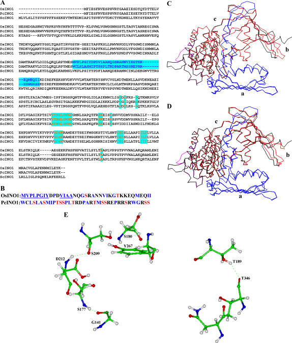 Figure 10.