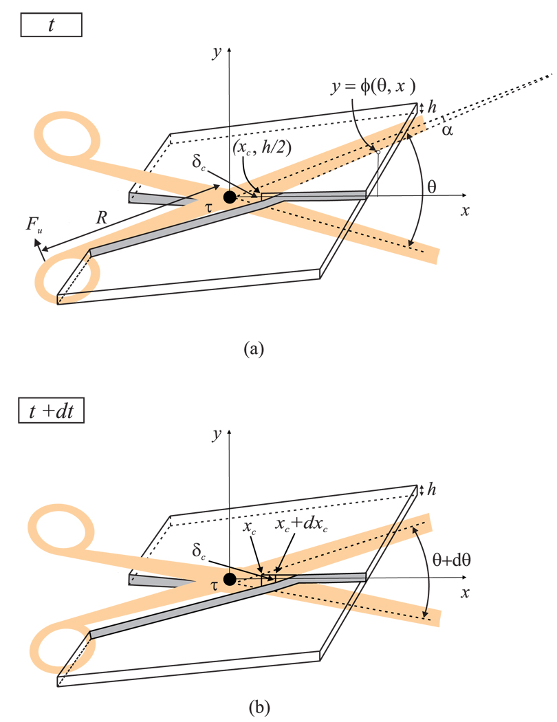Modeling the Forces of Cutting with Scissors PMC