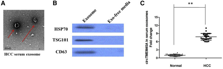 Figure 7