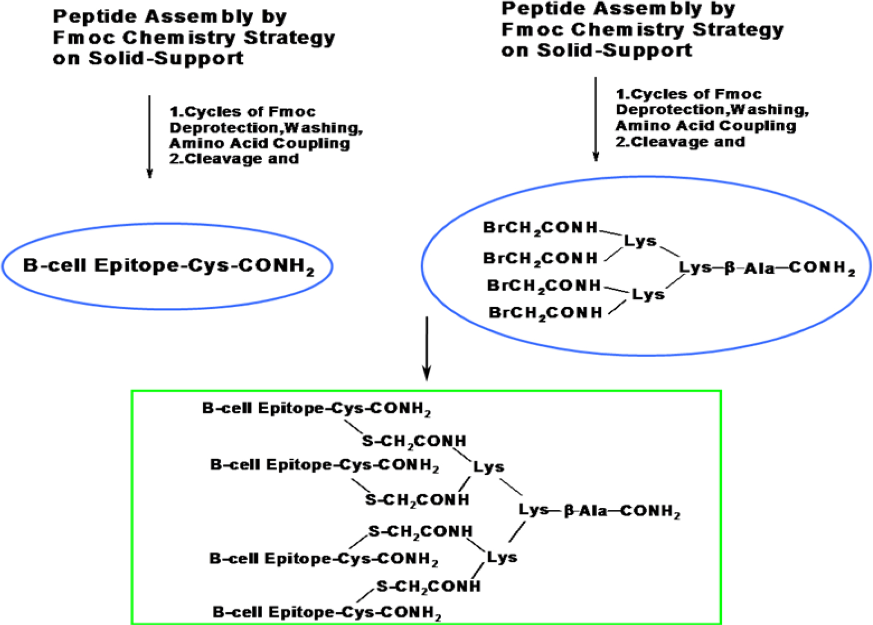 Scheme 1.