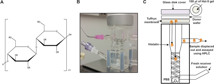 FIG 1