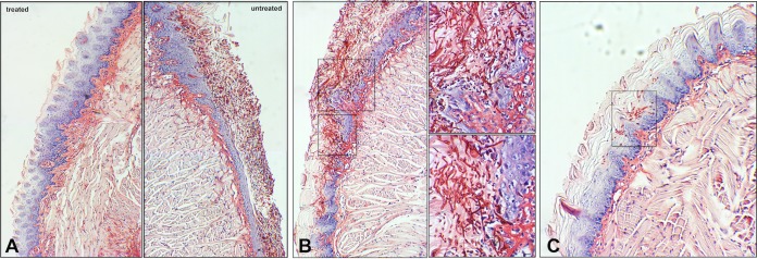 FIG 7