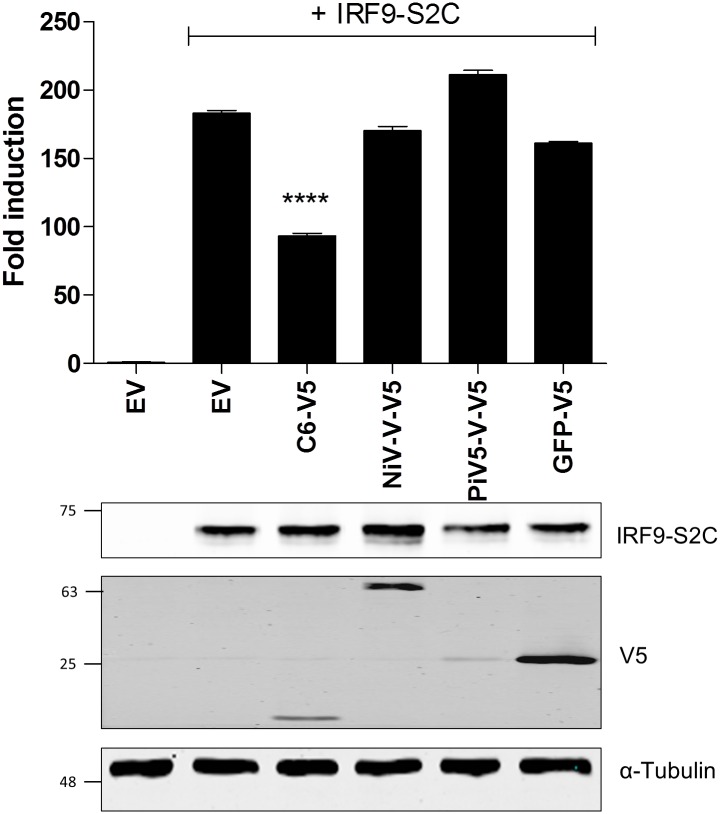 Fig 6