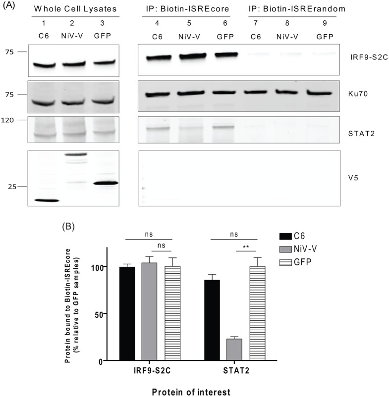 Fig 7