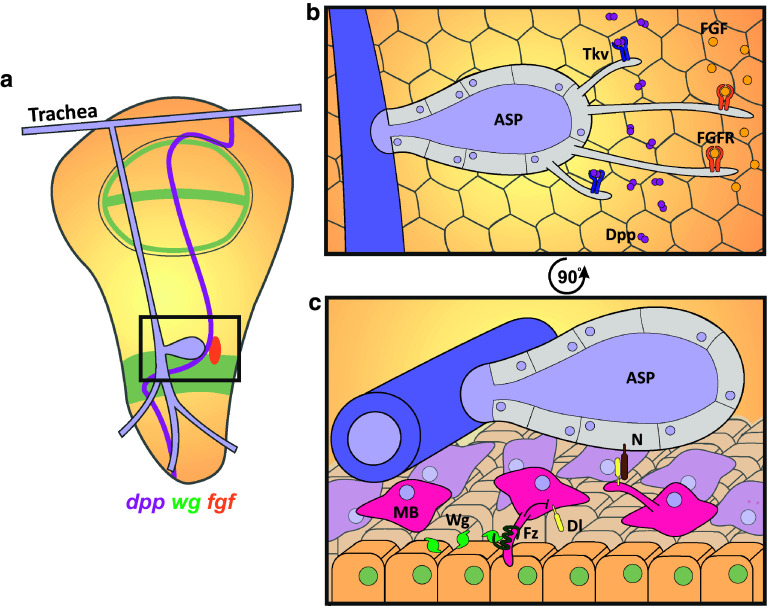 Fig. 3