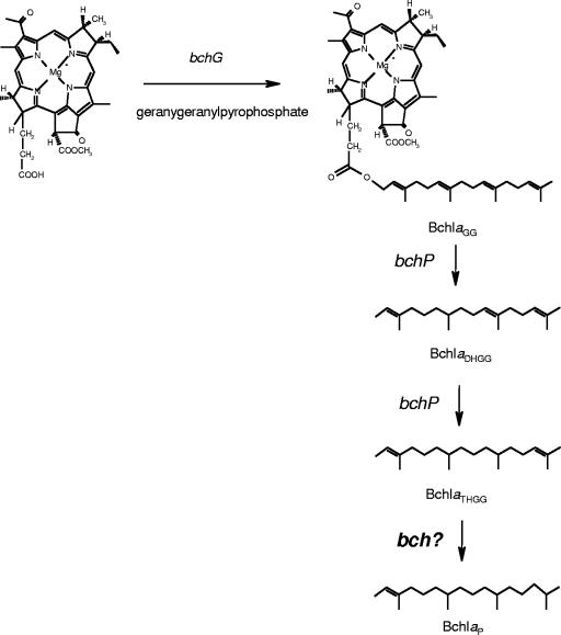 FIG. 12.