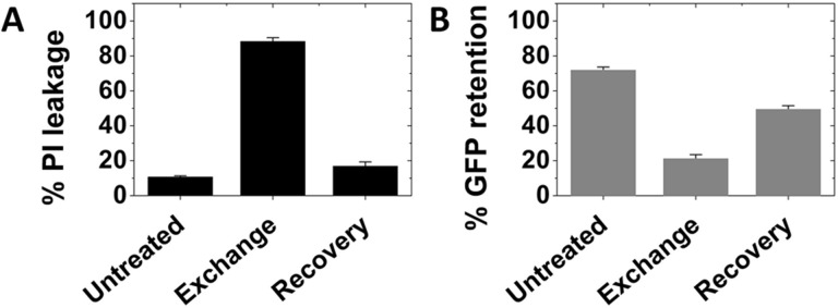 Fig 7