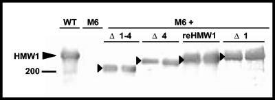 FIG. 5.