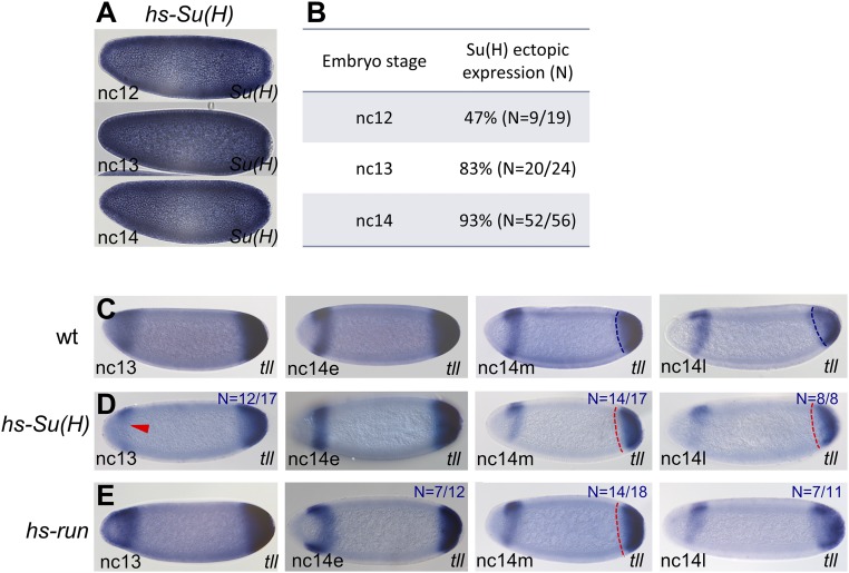 Fig. S3.