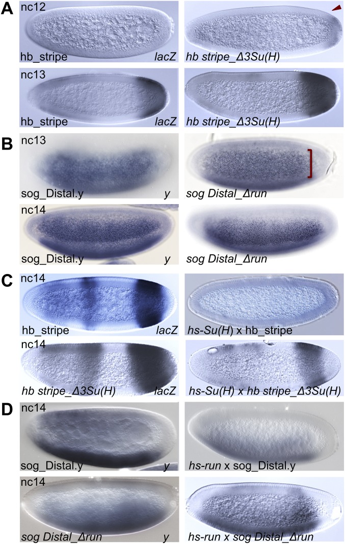 Fig. S6.