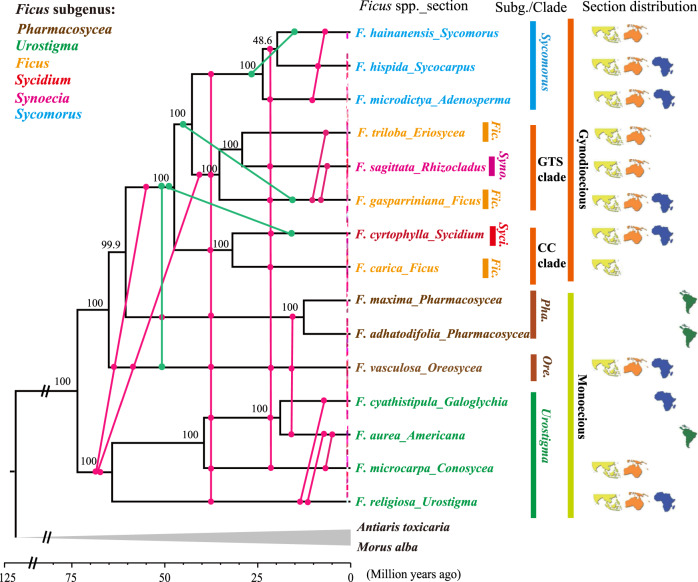 Fig. 2