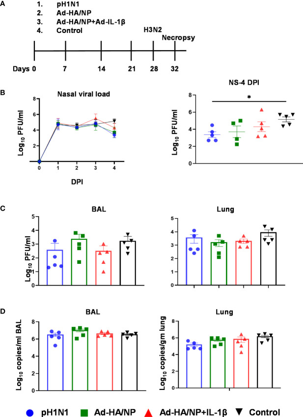 Figure 4