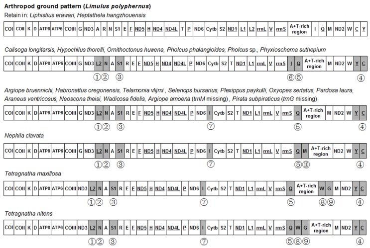 Fig 3