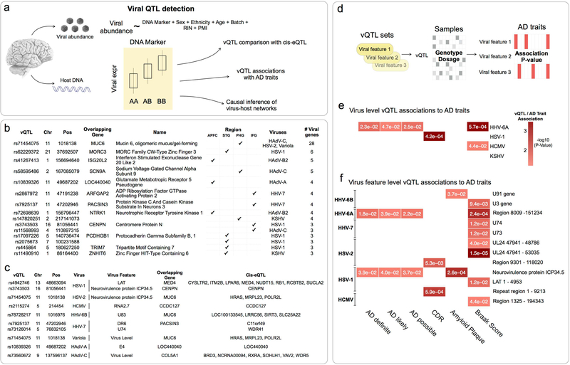 Figure 4: