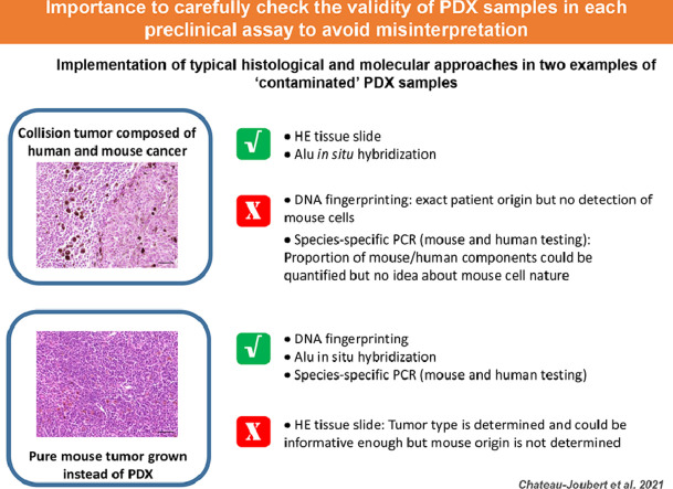 Image, graphical abstract