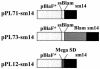 FIG. 1.