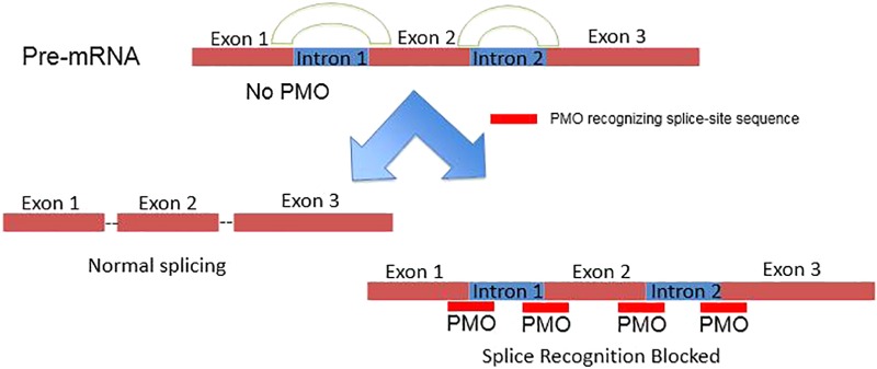 FIGURE 3