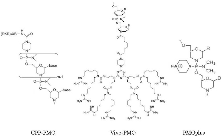 FIGURE 4