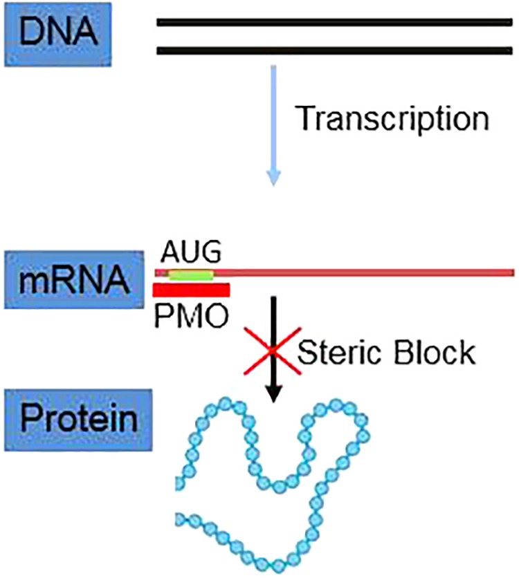 FIGURE 2