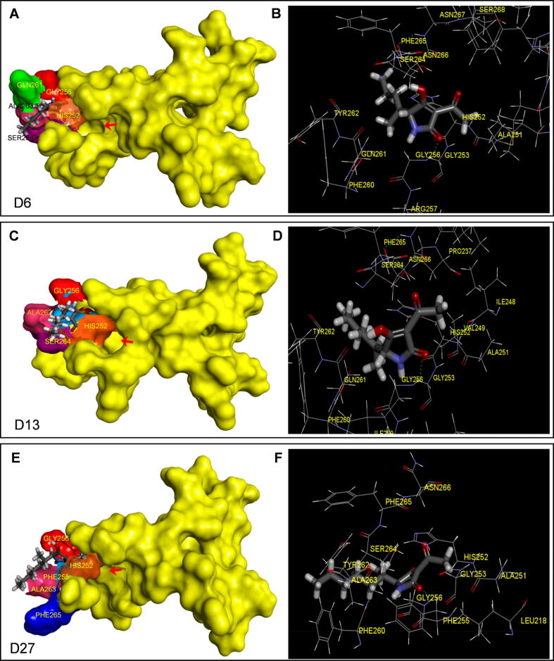 Fig. 3