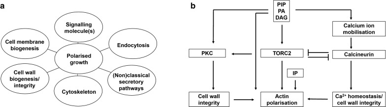 Fig. 4