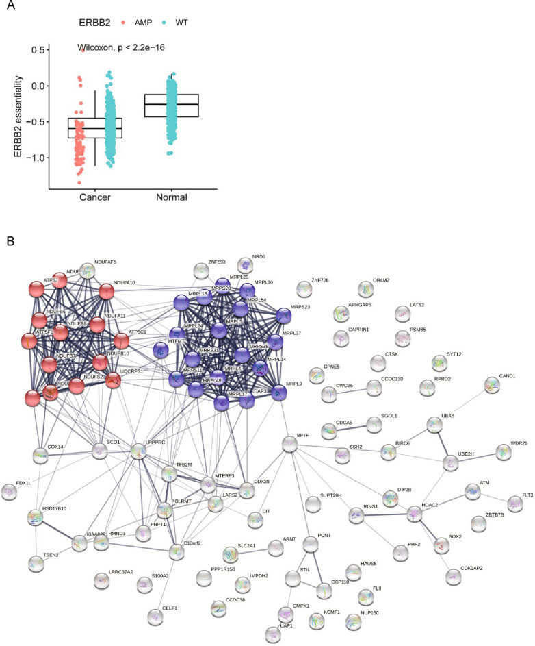 Extended Data Fig. 5