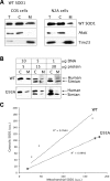 Figure 1.