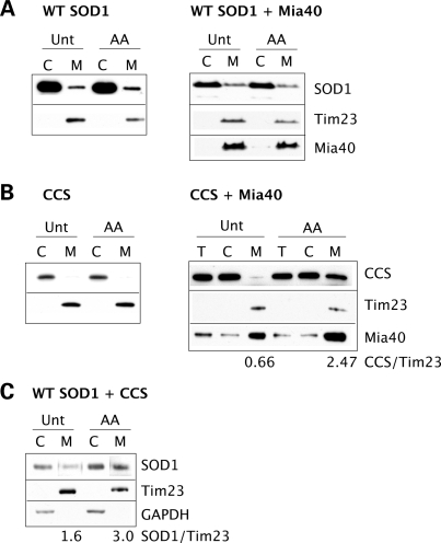 Figure 4.