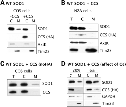 Figure 2.