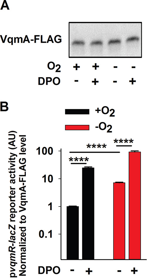 FIG 3