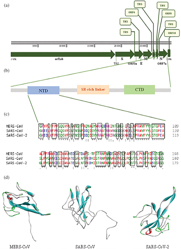 FIGURE 1