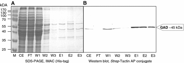 Fig. 9