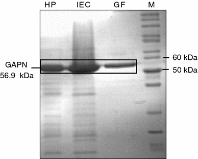 Fig. 8