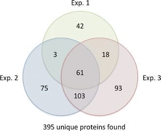 Fig. 6