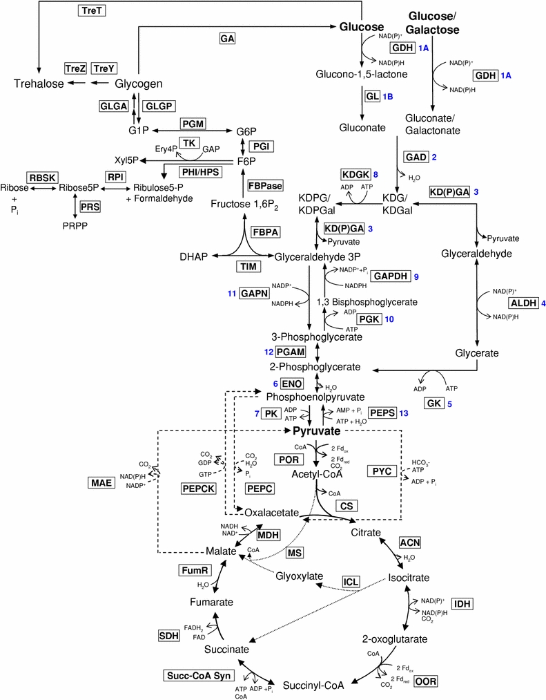 Fig. 3