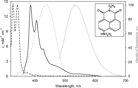 FIGURE 1.