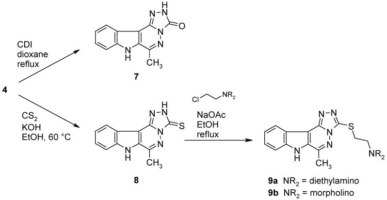 Scheme 4